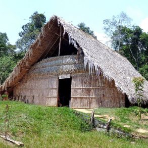 Hut in Brazil rainforest