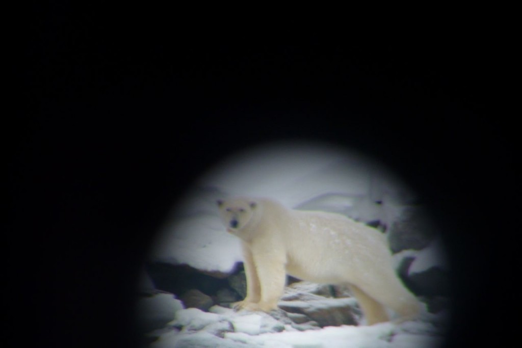 bearbinox bearbinox