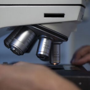 Close up of microscope objective lenses