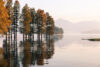 Lake and trees in Finland