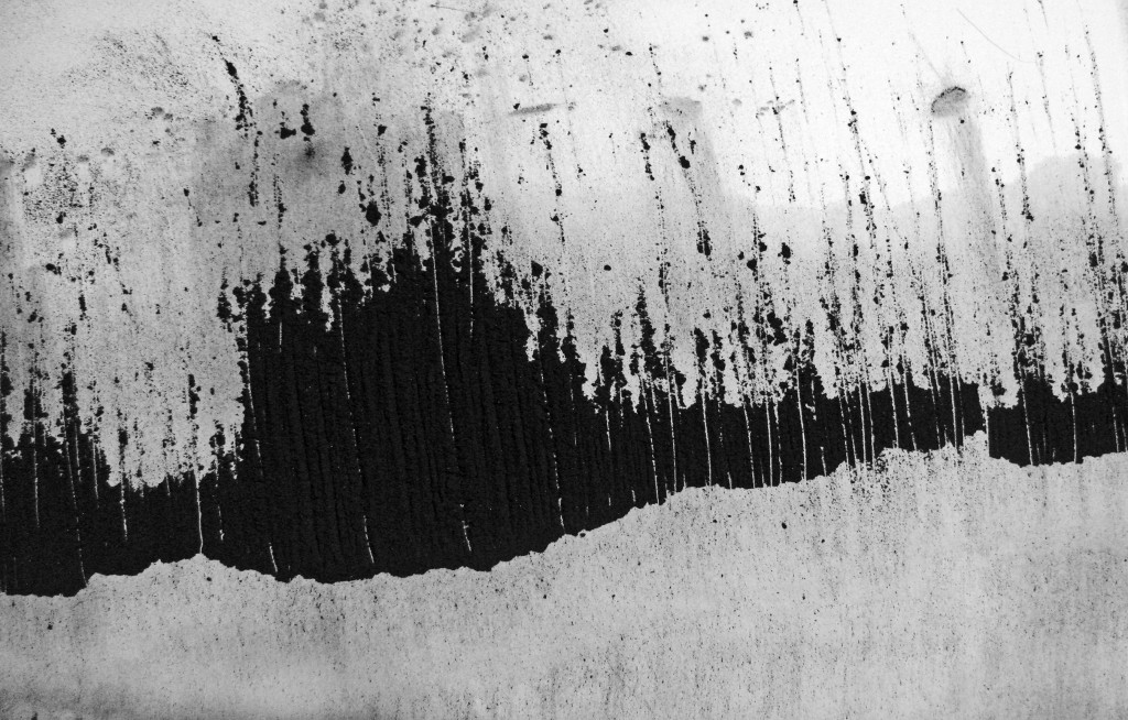 #4CElaketreesHermit-reduced