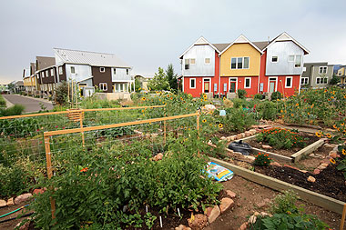 Holiday Neighborhood community garden