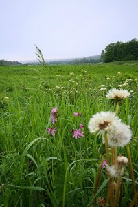 vermont The landscape around Craftsbury Common, Vermont.