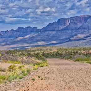 Migration in the Borderlands, by Lauret Savoy