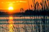 A lake at sunset