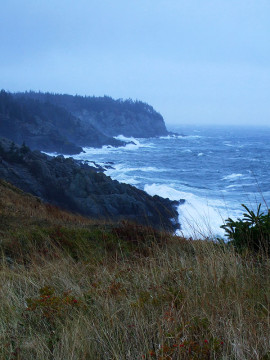 Storm surge on Fish Head.
