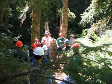 Students at the H.J. Andrews Experimental Forest
