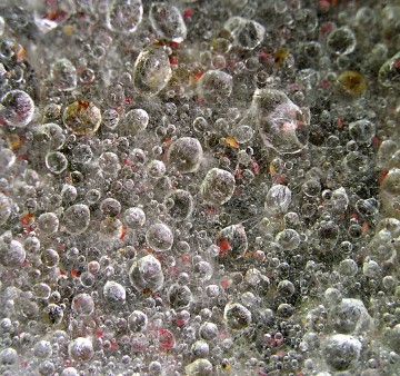 "Water Dance" by Douglas A. Yates