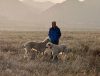 Mike with dogs in Colorado high country in the rain