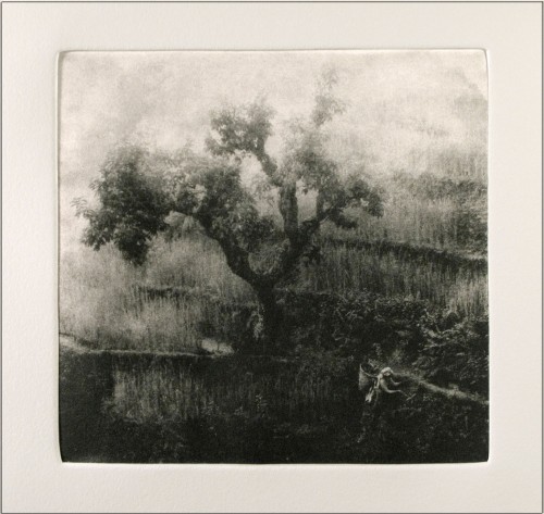 Morning Glory. Arughat, Nepal, 2008.