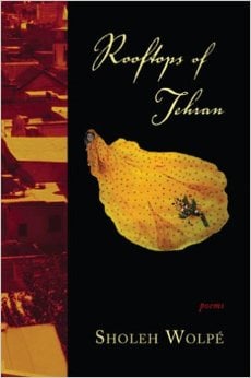 The Rooftops of Tehran, by Sholeh Wolpe