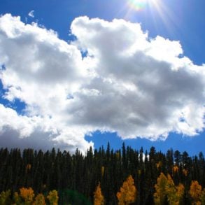 Terrain.org 6th Annual Contests in Fiction, Nonfiction + Poetry