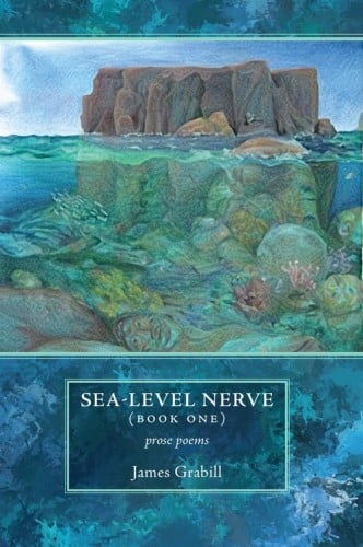 Sea-level Nerve (Book One), by James Grabill