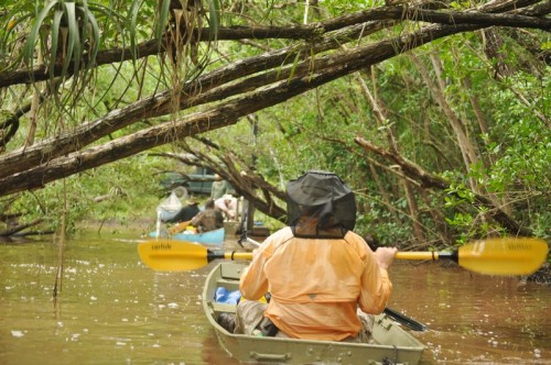 Volunteers in boats.