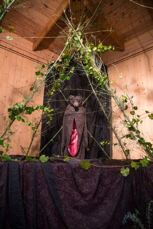 Bear requiem. Photo by David Moynahan.