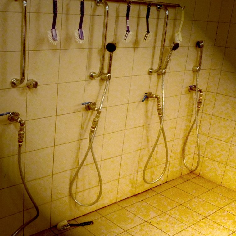 Mandatory Purification Rituals