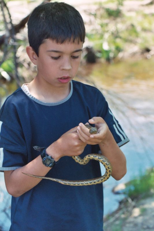 Young Mario catches a snake