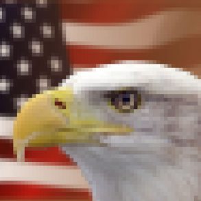 Letter to America by Richard Kenney