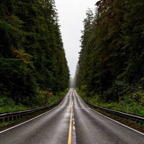 Letter to America, by Sean Hill