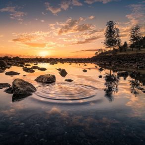 The Stilled Ring: Fiction by Luther Allen