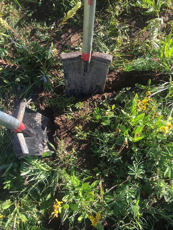 Carving block of soil and plants with shovels