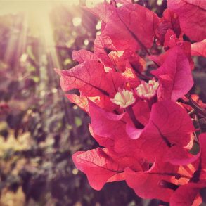 Two Poems by John Willson