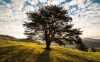 Best Hardly Known Nature Books: Recommended Reads by Chip Blake
