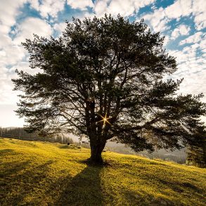 Best Hardly Known Nature Books: Recommended Reads by Chip Blake