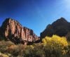 Transforming Art Into Action at the University of the Parks by Danielle Beazer Dubrasky
