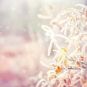 Letter to America: Poem by Debra Marquart