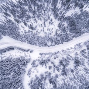 Announcing the 2019 Terrain.org Pushcart Prize Nominations