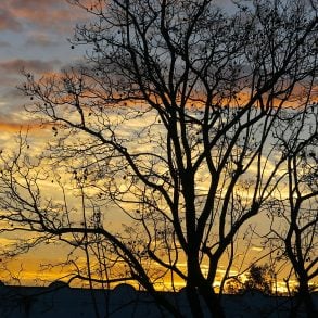 Four Poems in Isthmus Zapotec and Spanish by Irma Pineda, translated by Wendy Call