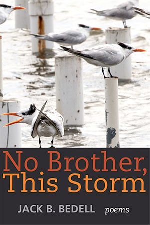 No Brother, This Storm: Poems by Jack Bedell