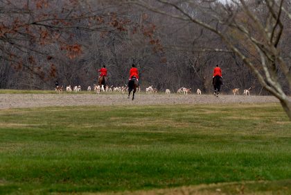 Thanksgiving Stirrup Cup