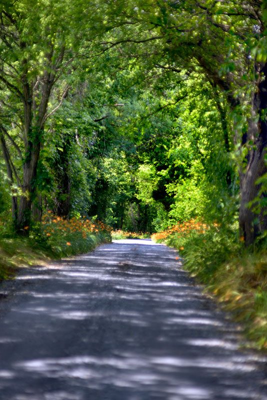 Rustic road in Montgomery County, Maryland