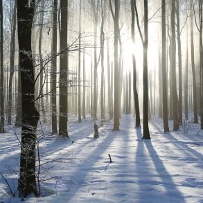 One Poem by Jeff Gundy