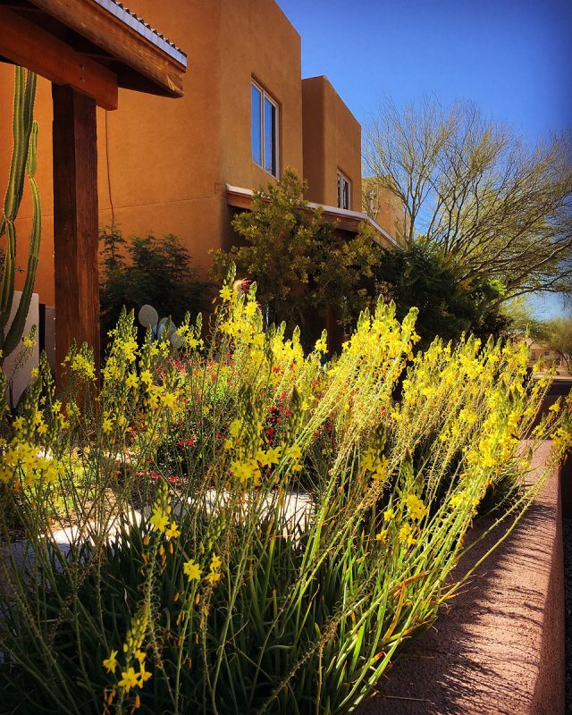 ContraVest home and garden.