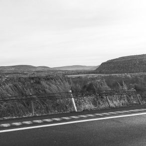 Letter to America Poem by Susan Petrie