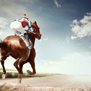 Old Roads, New Stories: Hawk Medicine, by Rob Carney