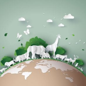 A Wildness in Design: Melissa Sevigny Interviews Nicole Walker