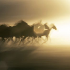 One Poem in Three Parts by Paige Buffington