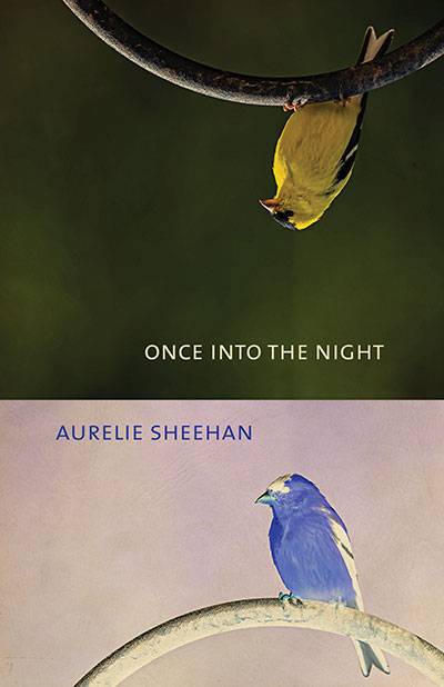 Once into the Night, by Aurelie Sheehan