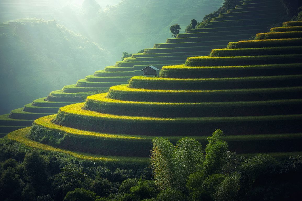 Agricultural steppes in Asia