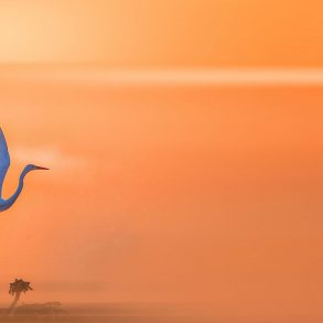 Three Poems by Katharine Coles