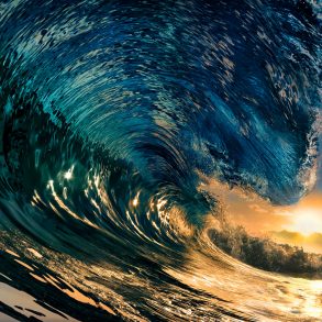 Until the Seas Rise, by Anita Felicelli