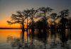 Louisiana coast at sunset