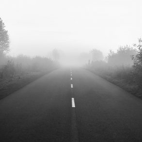 Rural road with fog