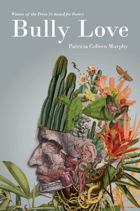 Bully Love, poems by Patricia Colleen Murphy
