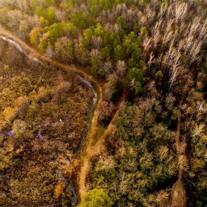 Aerial view of creek, woods, and wetlands