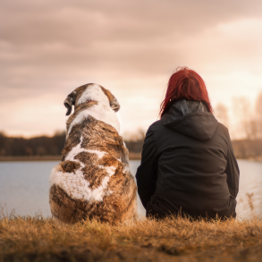 Isolated dog and girl staring across lake